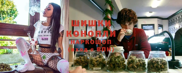 гидра Зеленокумск