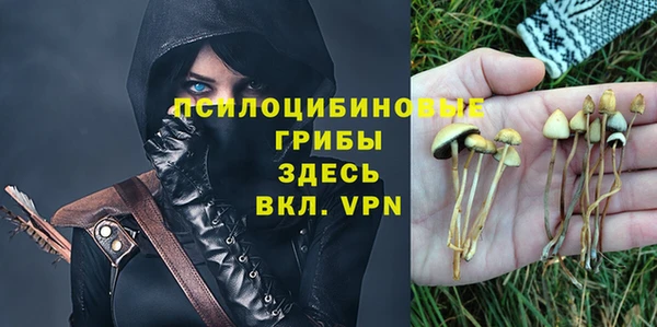 стафф Зеленодольск