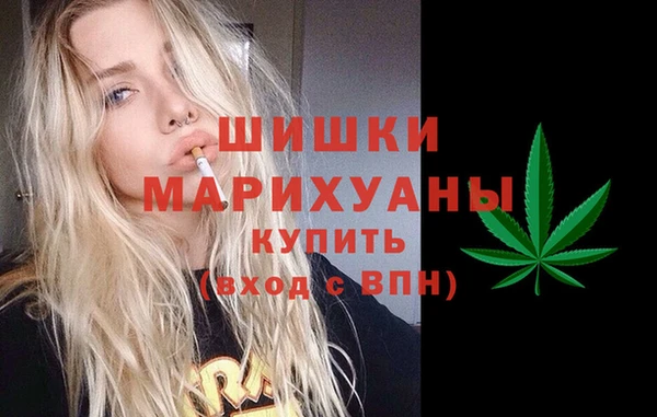 гидра Зеленокумск