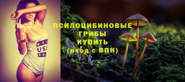гидра Зеленокумск
