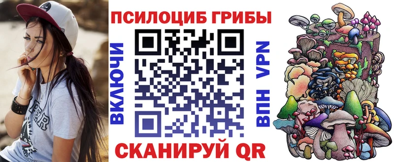 Псилоцибиновые грибы Psilocybe мориарти состав Слободской закладки